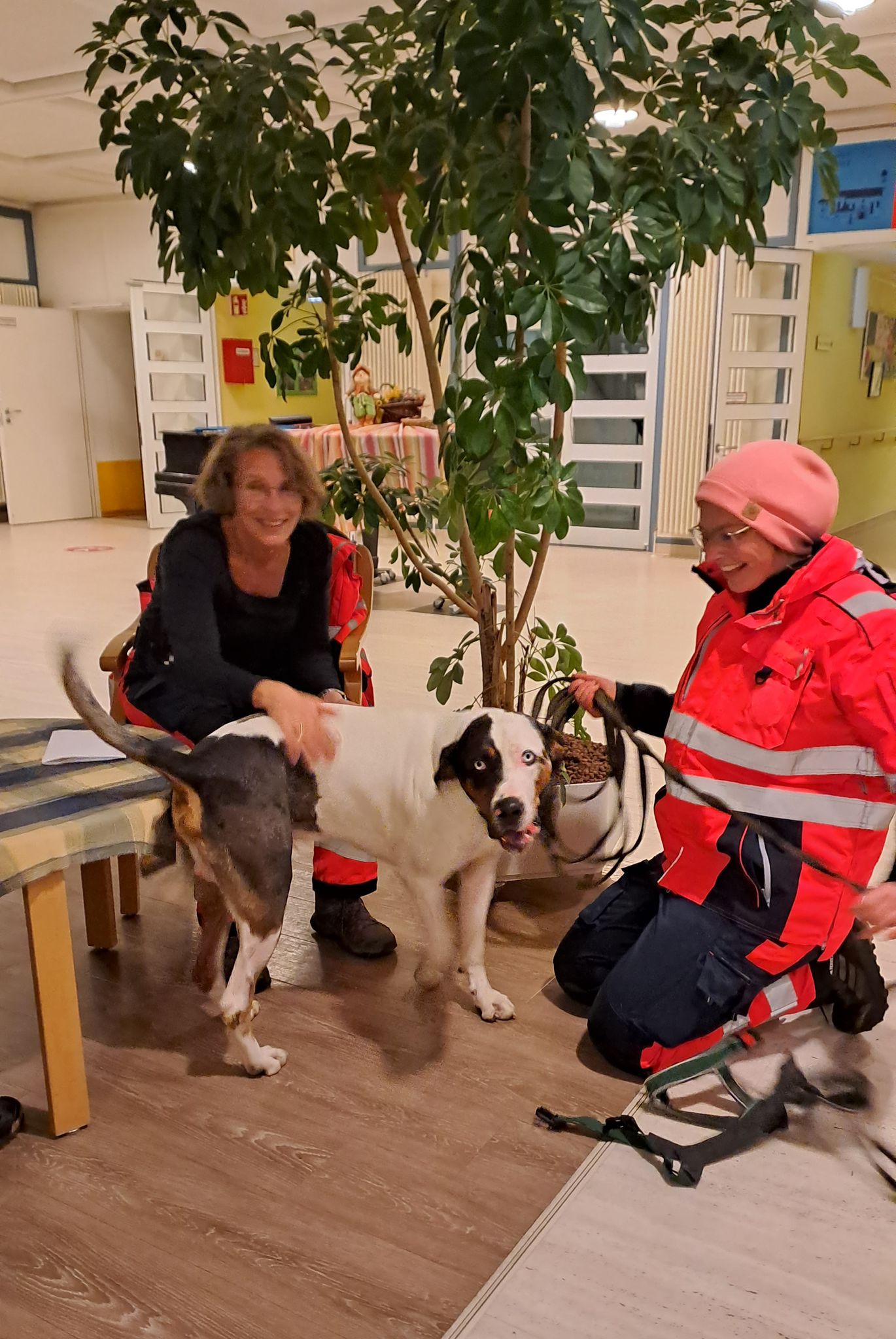 PHOTO-2023-11-17-22-36-42