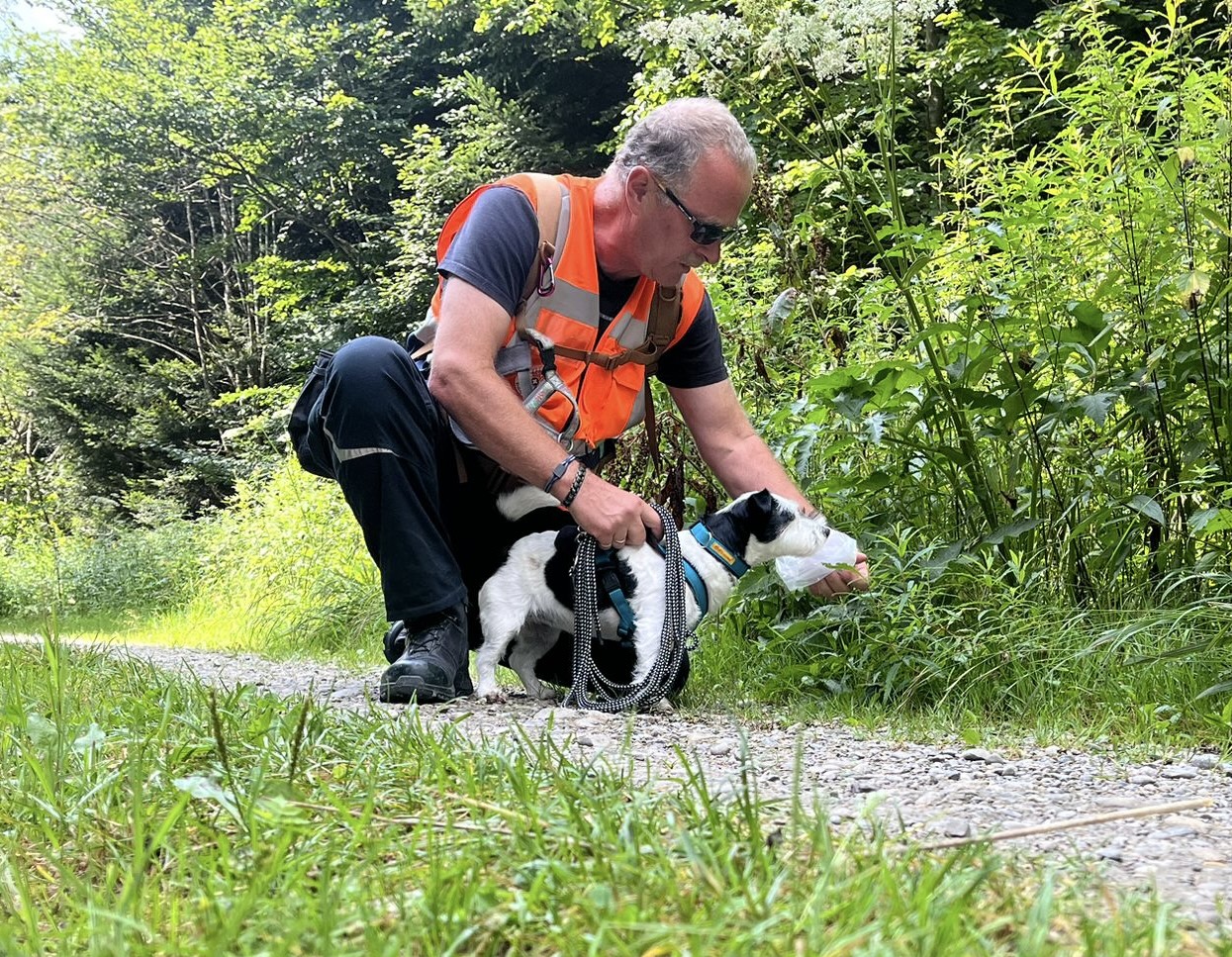 367cc1bc-8d19-4691-9ec5-6200f50a17a8