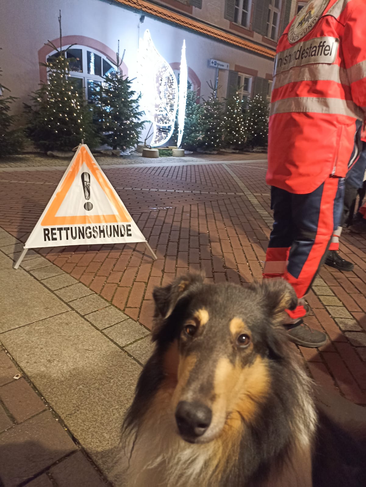 PHOTO-2025-12-10-18-29-04