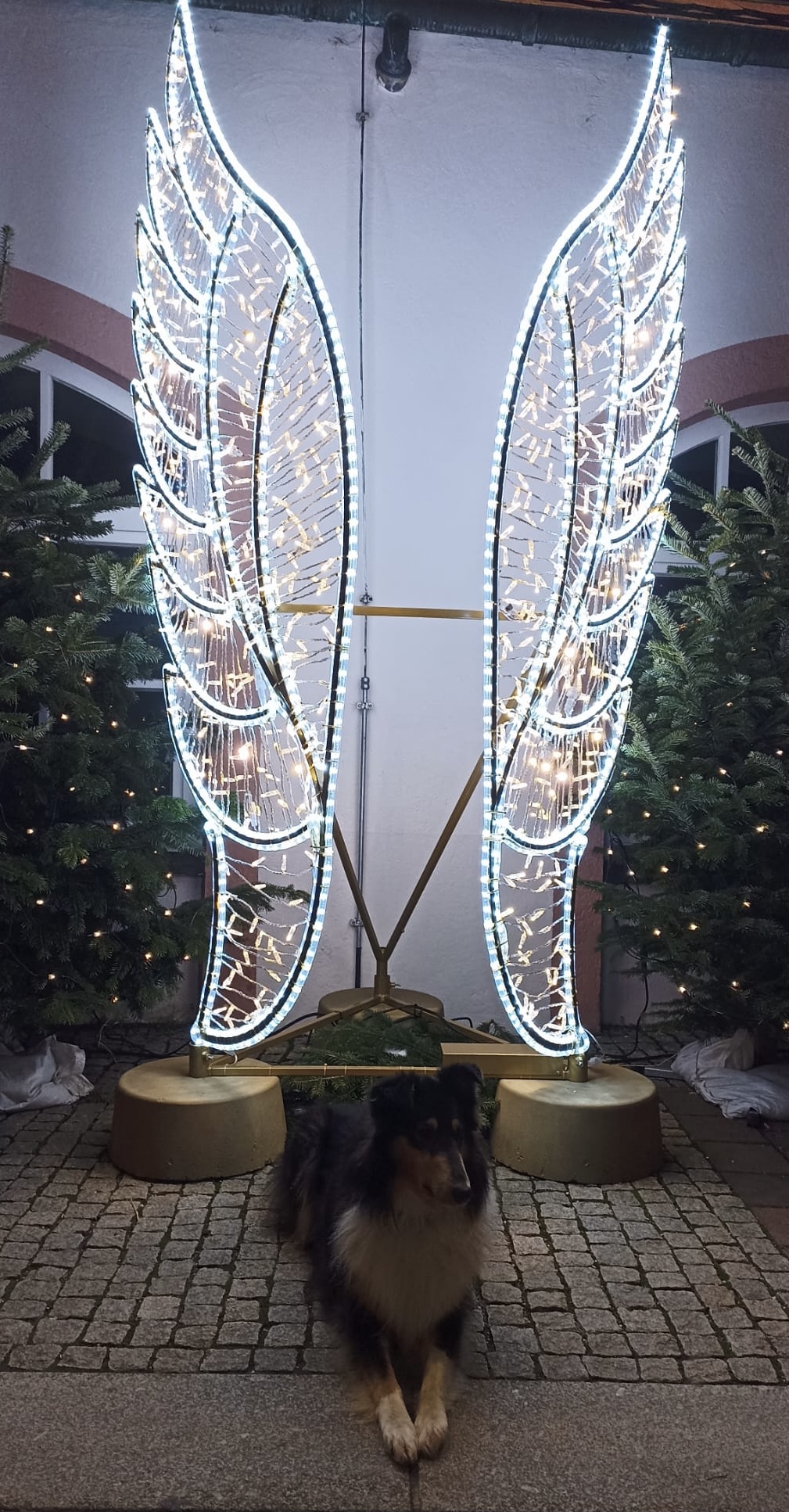 PHOTO-2025-12-11-09-24-00